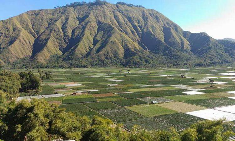 Pergasingan-hill Sembalun